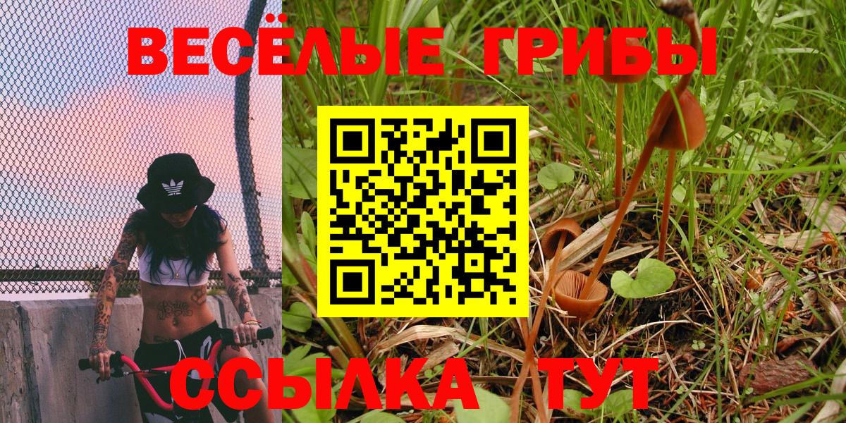 Гашиш  NBOMe  Меф   МДМА  Москва  Вход с VPN  Кокаин  Экстази 