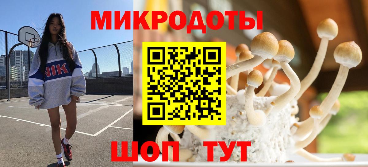 Галлюциногенные грибы мухоморы Москва