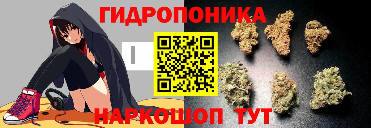 Шишки марихуана OG Kush Москва